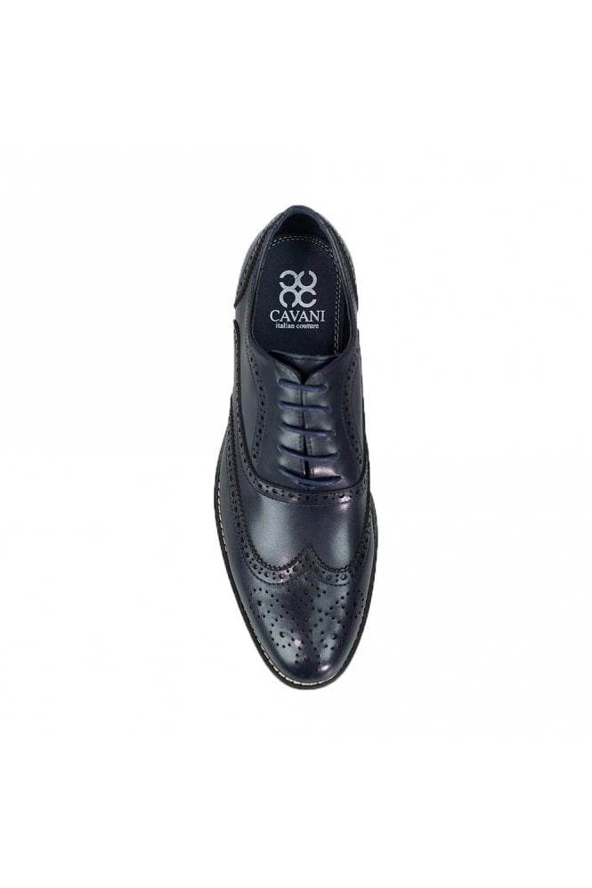 Oxford Brogue Navy Shoes by Cavani