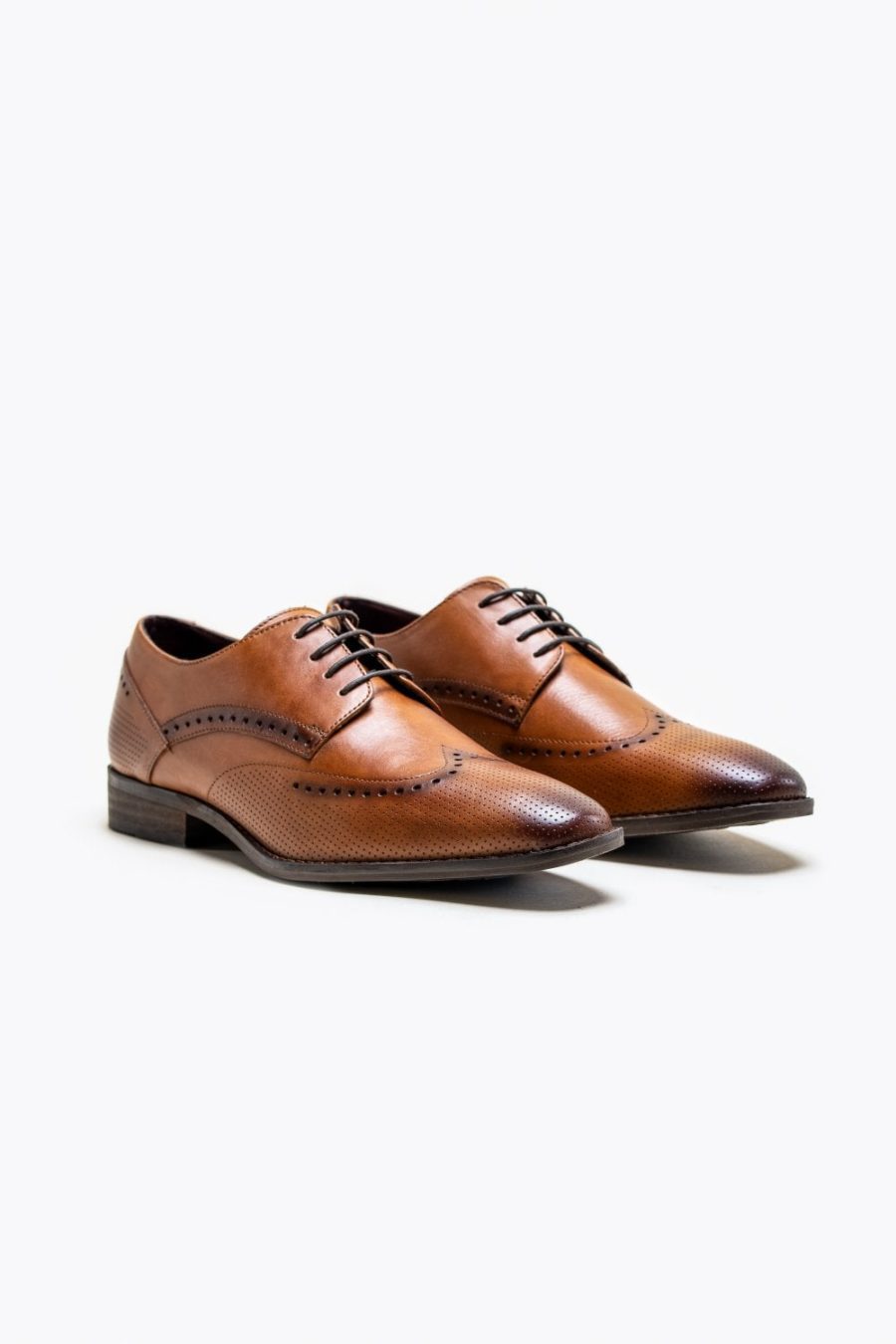 Lisbon Tan Brogue Shoes by Cavani